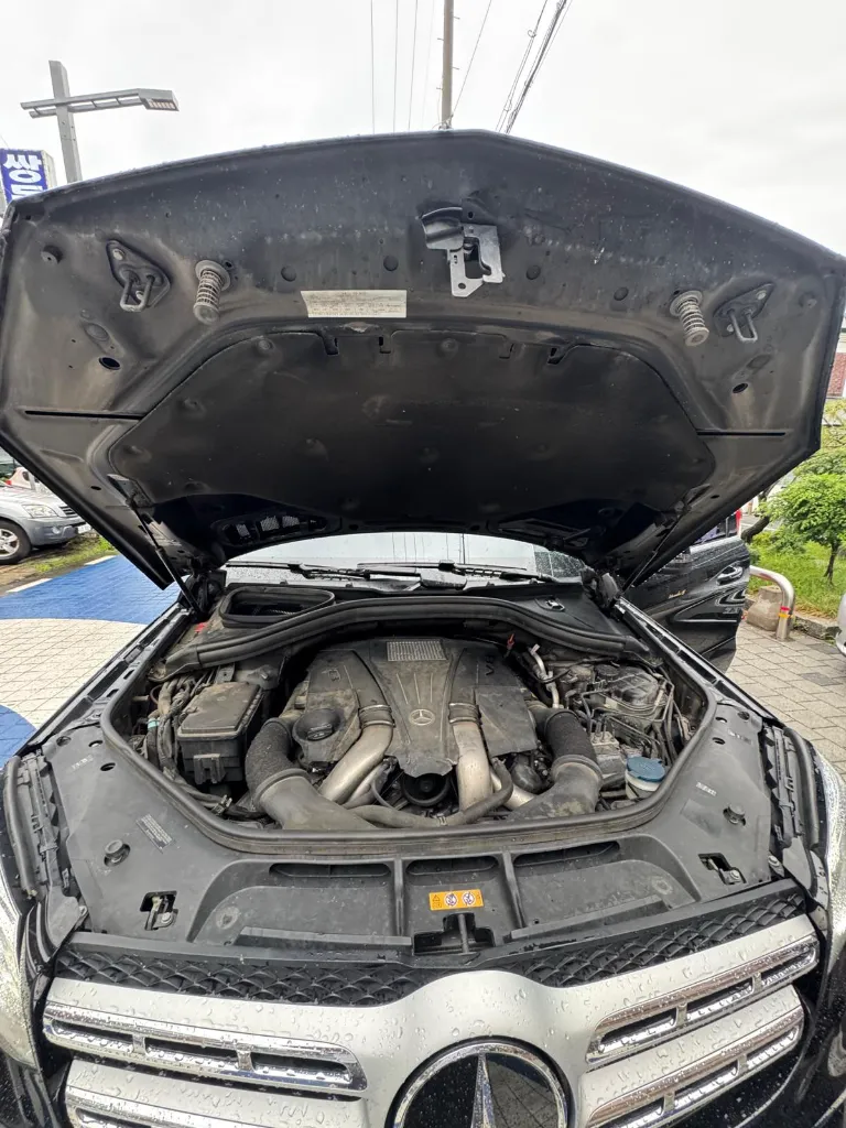 WhatsApp Image 2026-03-24 at 9.23.59 PM (3).webp